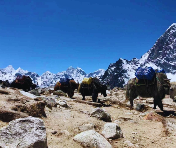 Scenic mountain view during the EBC trek